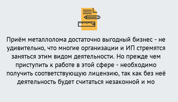 Почему нужно обратиться к нам? Вязники Лицензия на металлолом. Порядок получения лицензии. В Вязники