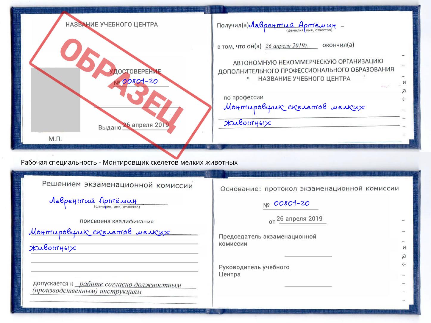 Монтировщик скелетов мелких животных Вязники
