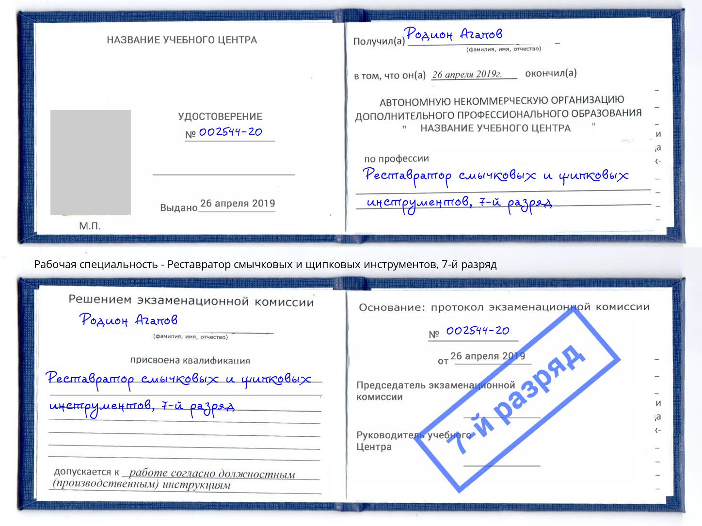 корочка 7-й разряд Реставратор смычковых и щипковых инструментов Вязники