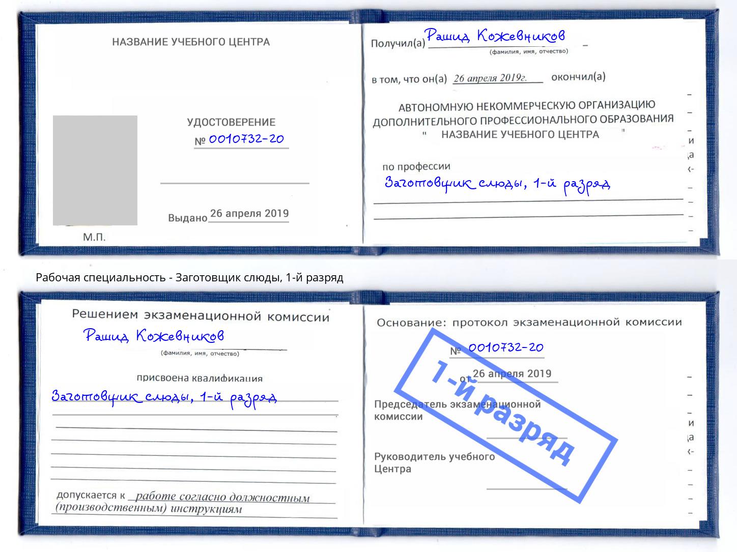 корочка 1-й разряд Заготовщик слюды Вязники